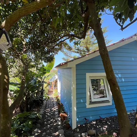 At Flaminga S Place *