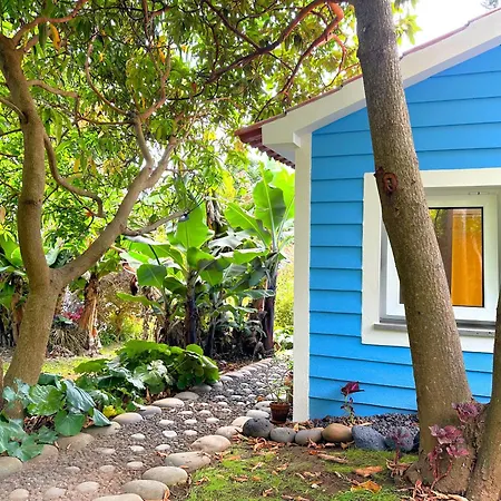 At Flaminga S Place *