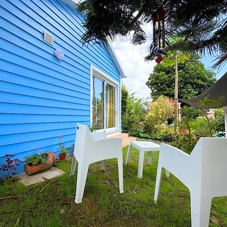 At Flaminga S Place *