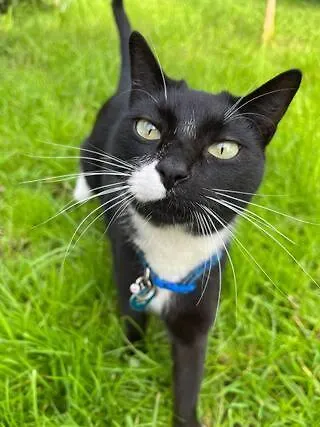 At Flaminga S Place Διαμέρισμα Lajes do Pico