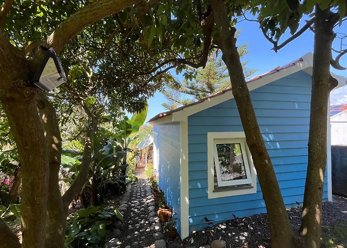 At Flaminga S Place *