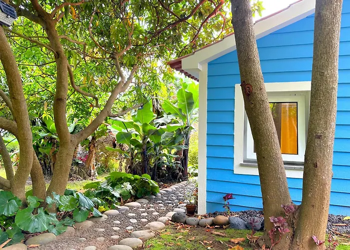 At Flaminga S Place *