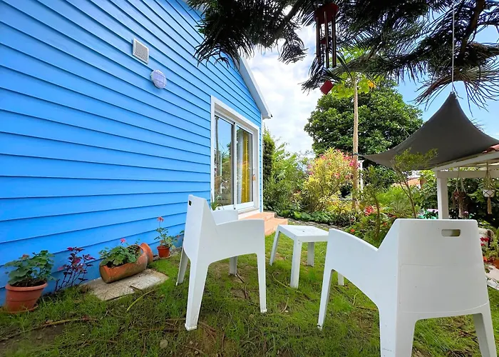 At Flaminga S Place *