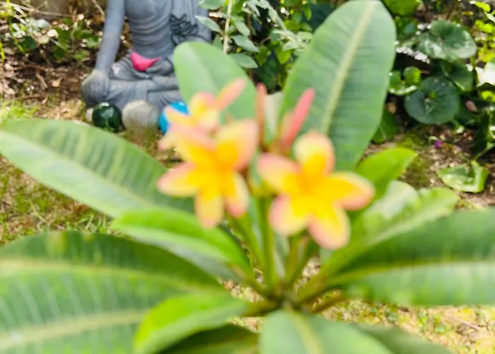 At Flaminga S Place *