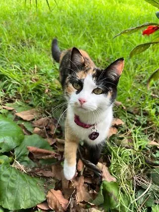 At Flaminga S Place דירה *