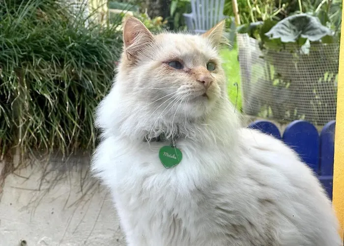 דירה At Flaminga S Place *